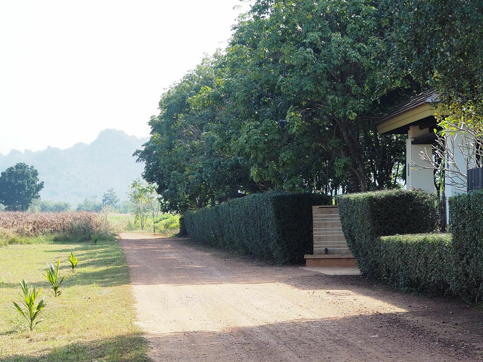 Singha Rubber Tree Hotel Szajok Kültér fotó