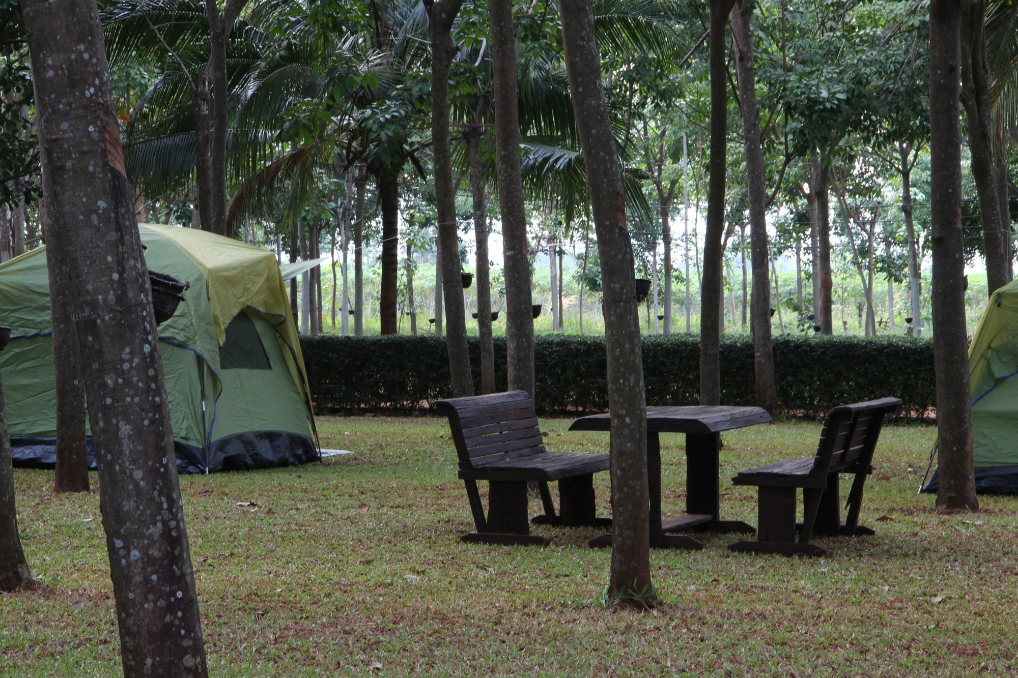 Singha Rubber Tree Hotel Szajok Kültér fotó